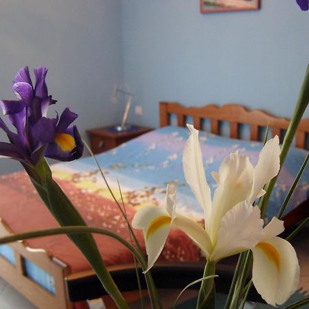 Djurovic Apartments Montenegro Котор Экстерьер фото